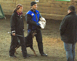 Hundesportturnier Schlo&szlig; Graschnitz
