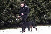 Herbert und Jozy