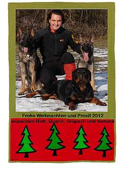 Frohe Weihnachten und Prosit 2012