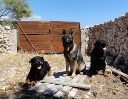 Urlaub Kroatien
