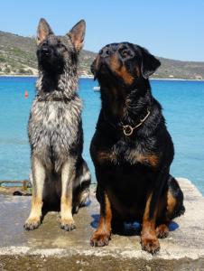 Urlaub Kroatien