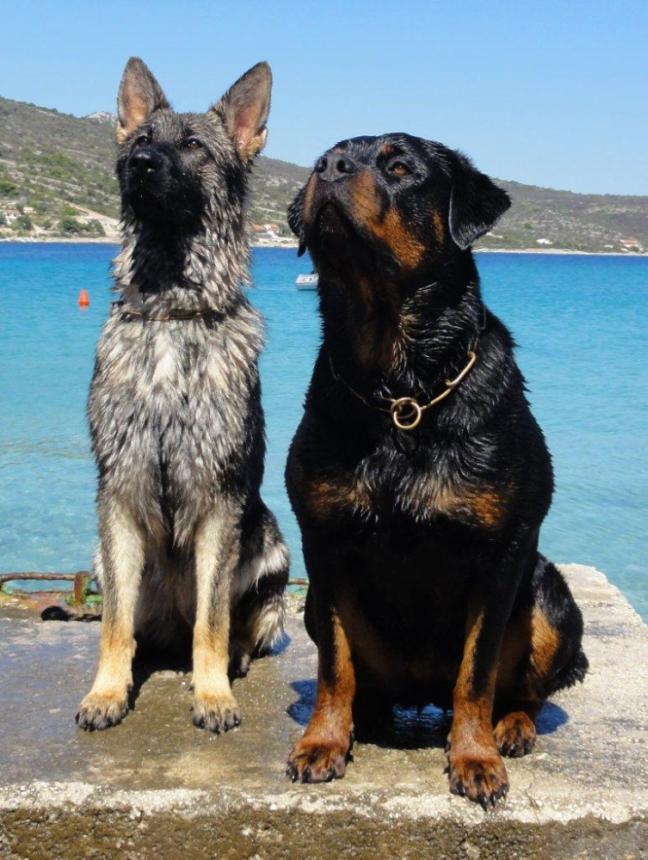 Urlaub in Kroatien