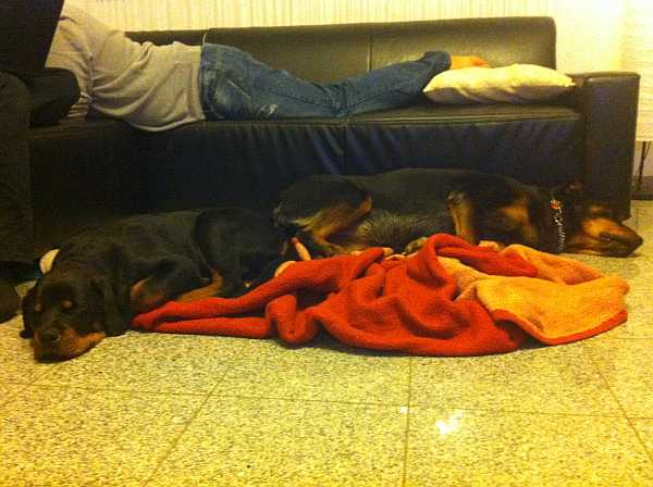 Meru und Sunny